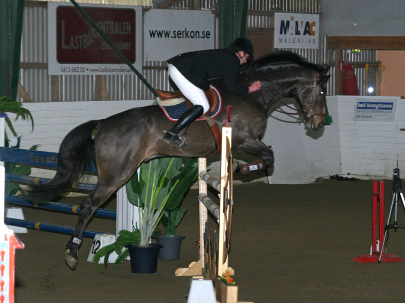 20080405_164206 Henrik Rosenkvist Baloo